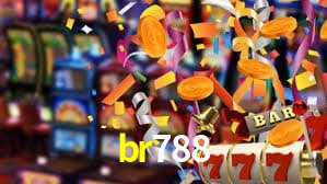 Premium Interface br788