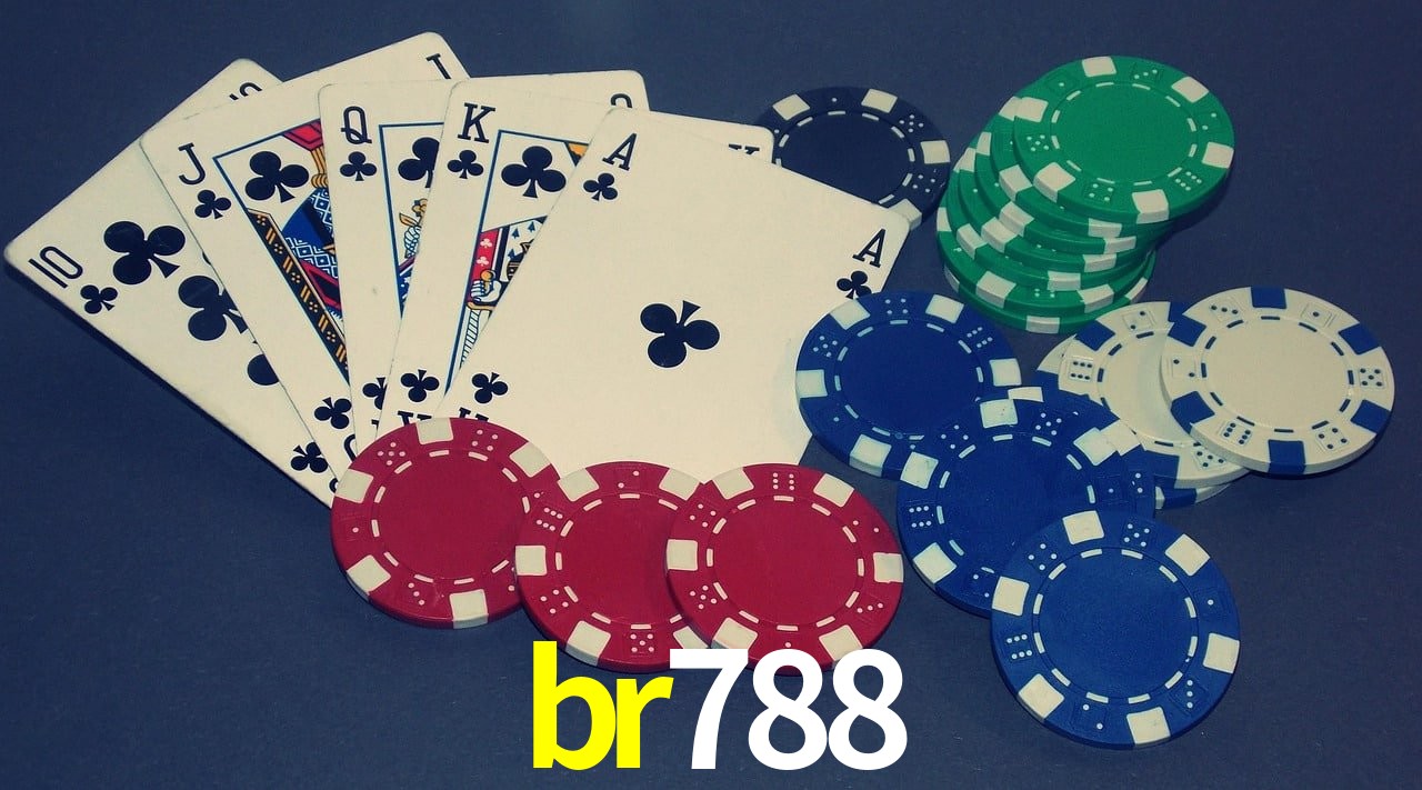 Security Systems br788